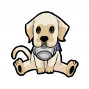 สมาชิกหมายเลข 5219142