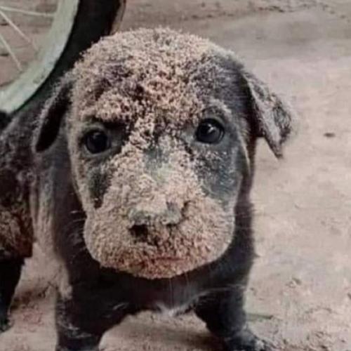 สมาชิกหมายเลข 3846616