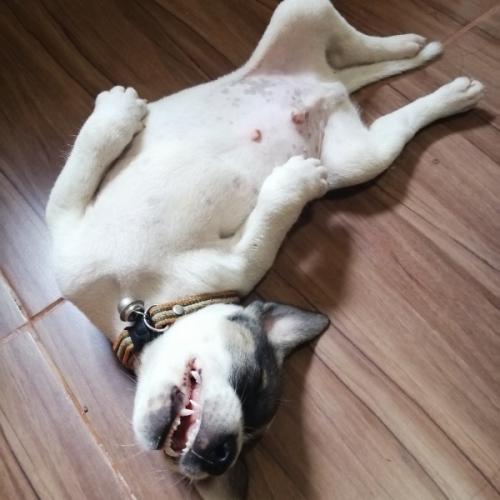 สมาชิกหมายเลข 6792948