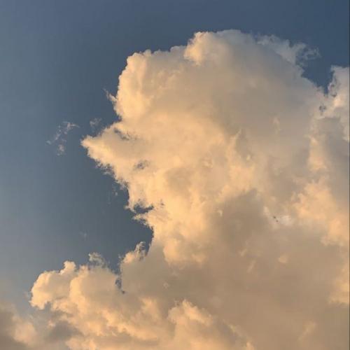 สมาชิกหมายเลข 4380853