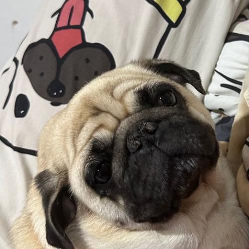 สมาชิกหมายเลข 7600263