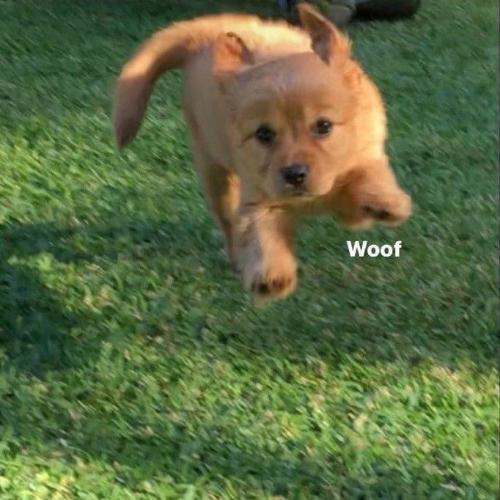 สมาชิกหมายเลข 7623394