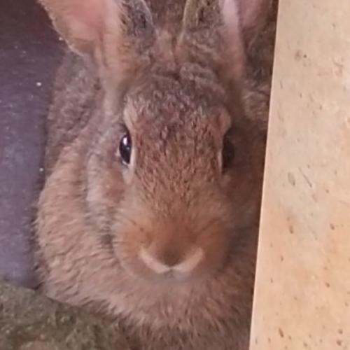 สมาชิกหมายเลข 8058719