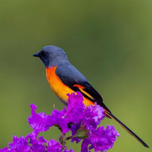 สมาชิกหมายเลข 8557194