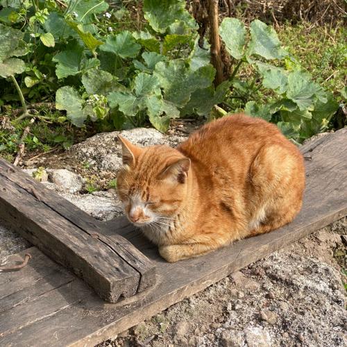 สมาชิกหมายเลข 8557775