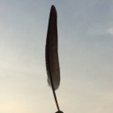 สมาชิกหมายเลข 4043250