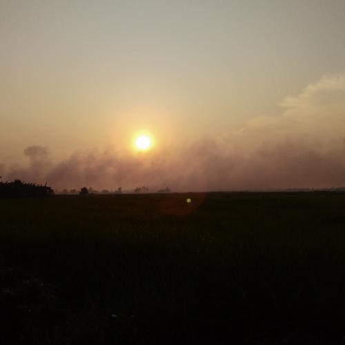 สมาชิกหมายเลข 3946653