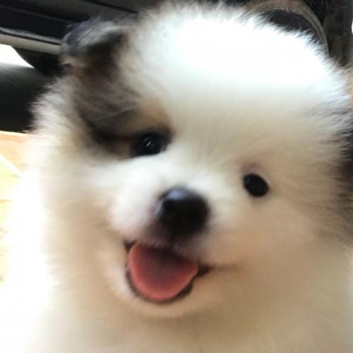 สมาชิกหมายเลข 4500070