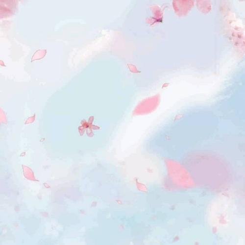 สมาชิกหมายเลข 4811925