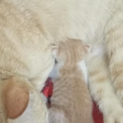 สมาชิกหมายเลข 2129161