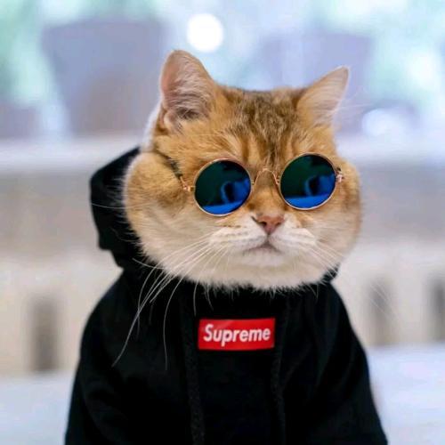 สมาชิกหมายเลข 4673796