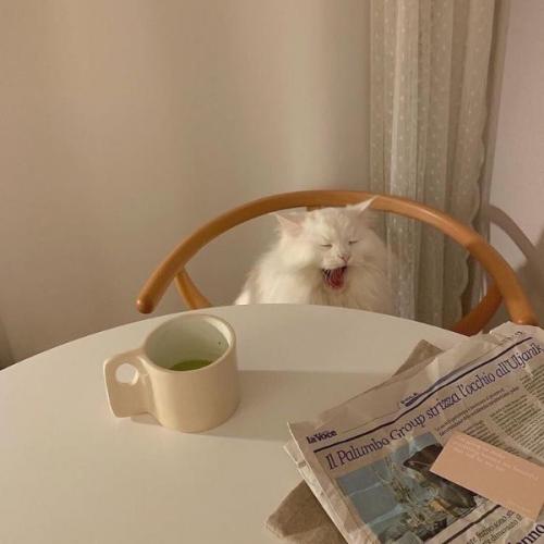 สมาชิกหมายเลข 5795778