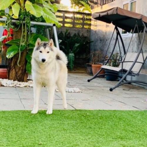 สมาชิกหมายเลข 6210136