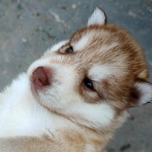 สมาชิกหมายเลข 3386452