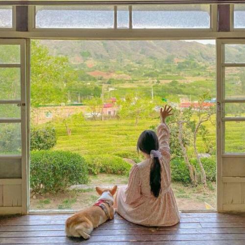 สมาชิกหมายเลข 6059069