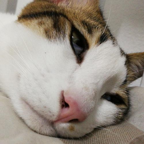 สมาชิกหมายเลข 1543580