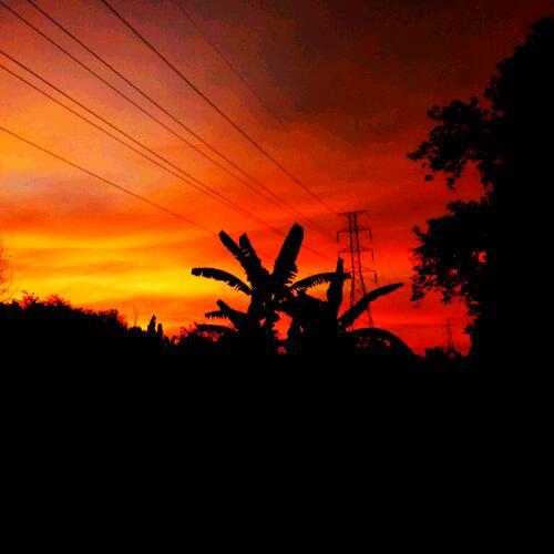 สมาชิกหมายเลข 4500731