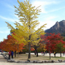 สมาชิกหมายเลข 5215875