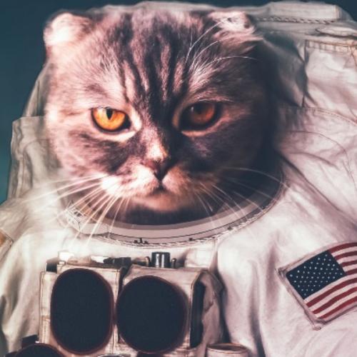 สมาชิกหมายเลข 5640970