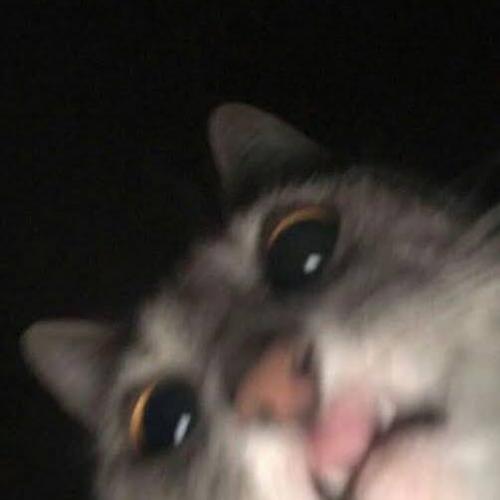 สมาชิกหมายเลข 3670827