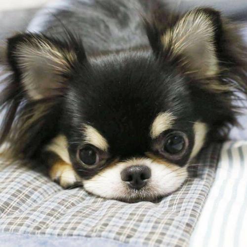 สมาชิกหมายเลข 3868707