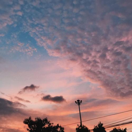 สมาชิกหมายเลข 6190808