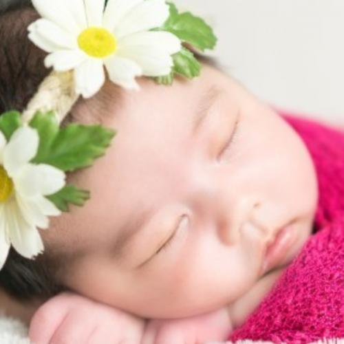 สมาชิกหมายเลข 6207710