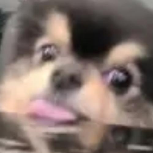 สมาชิกหมายเลข 7562715