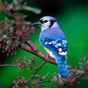 ผู้สนใจและสำรวจสิ่งลี้ลับ