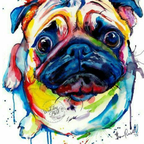 สมาชิกหมายเลข 3557461