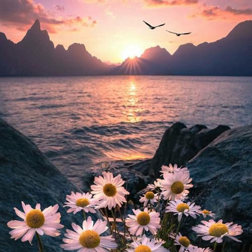 สมาชิกหมายเลข 3524788