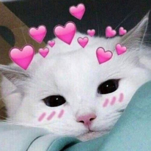 สมาชิกหมายเลข 5416314