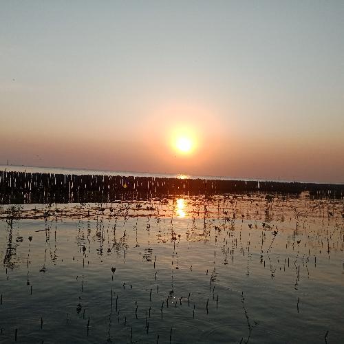 สมาชิกหมายเลข 5640870