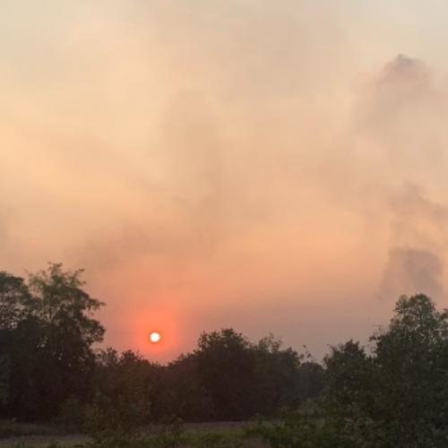 สมาชิกหมายเลข 6858654