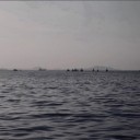 สมาชิกหมายเลข 2586734