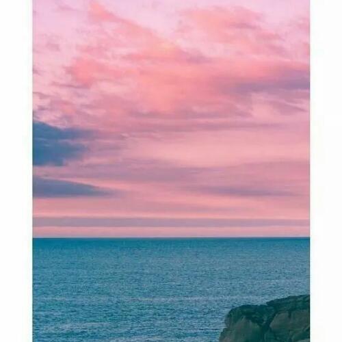 สมาชิกหมายเลข 4501400