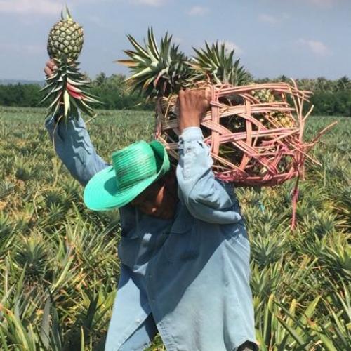 สมาชิกหมายเลข 4834408