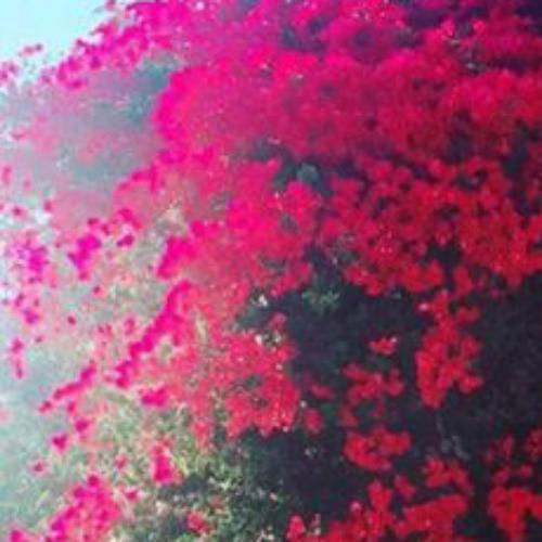 สมาชิกหมายเลข 4834461