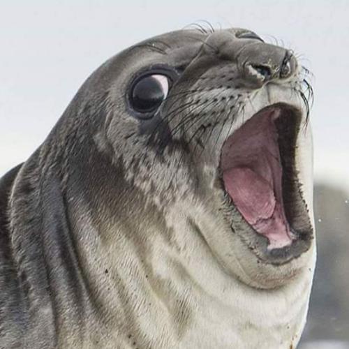 สมาชิกหมายเลข 4930843