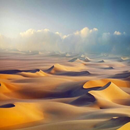 สมาชิกหมายเลข 5220393