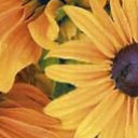 สมาชิกหมายเลข 5220432