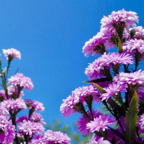 สมาชิกหมายเลข 3840404