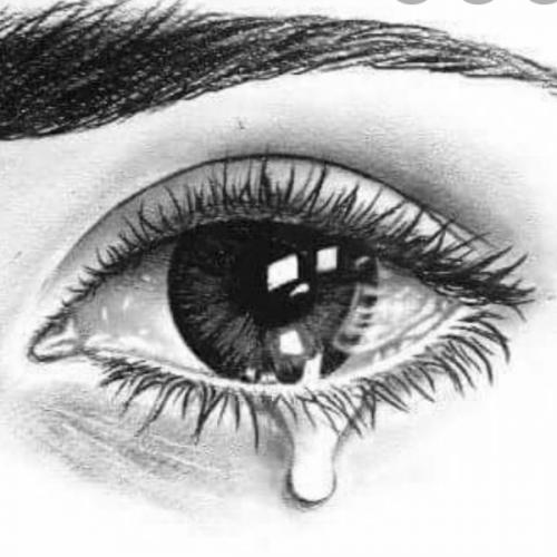 สมาชิกหมายเลข 5641911