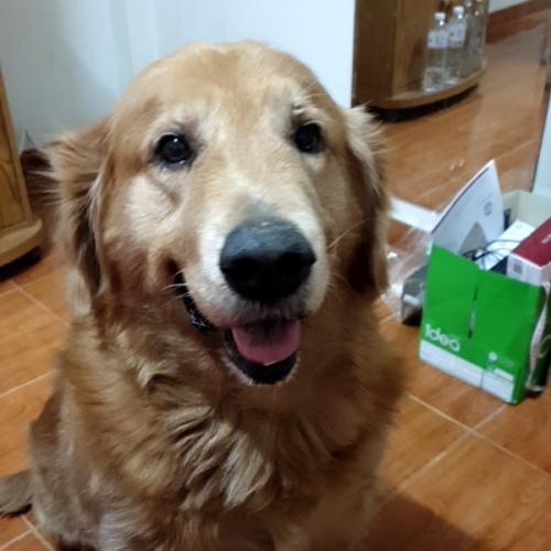 สมาชิกหมายเลข 3096604