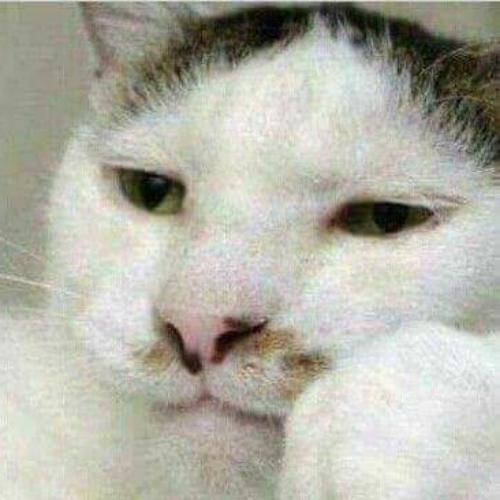 สมาชิกหมายเลข 5922457