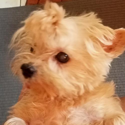 สมาชิกหมายเลข 6056837