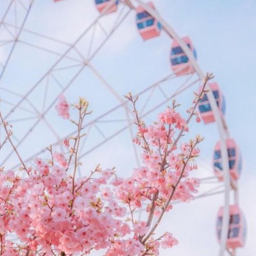 สมาชิกหมายเลข 6211804