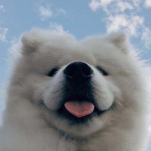 สมาชิกหมายเลข 4149570