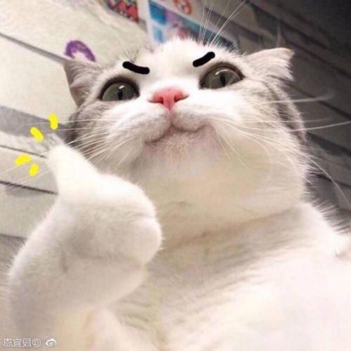 สมาชิกหมายเลข 5642201