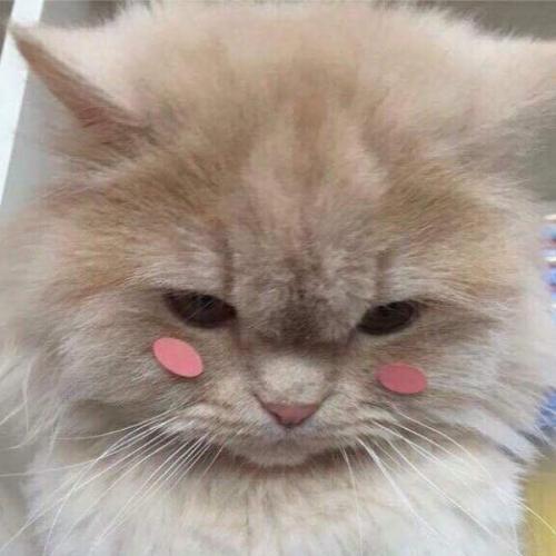 สมาชิกหมายเลข 5642414